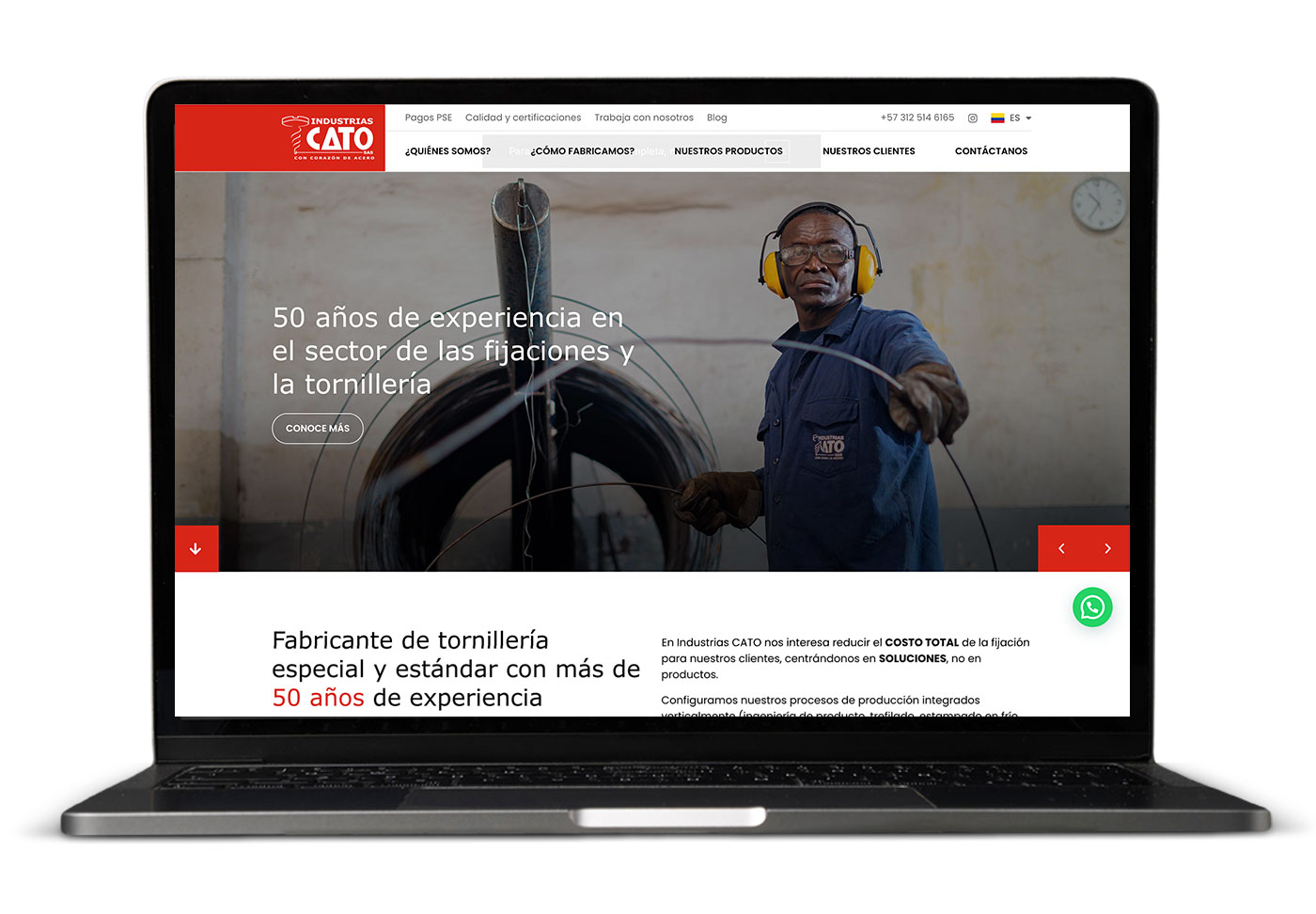 desarrollo web industrias cato